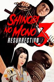Shinobi no Mono 3: Resurrection